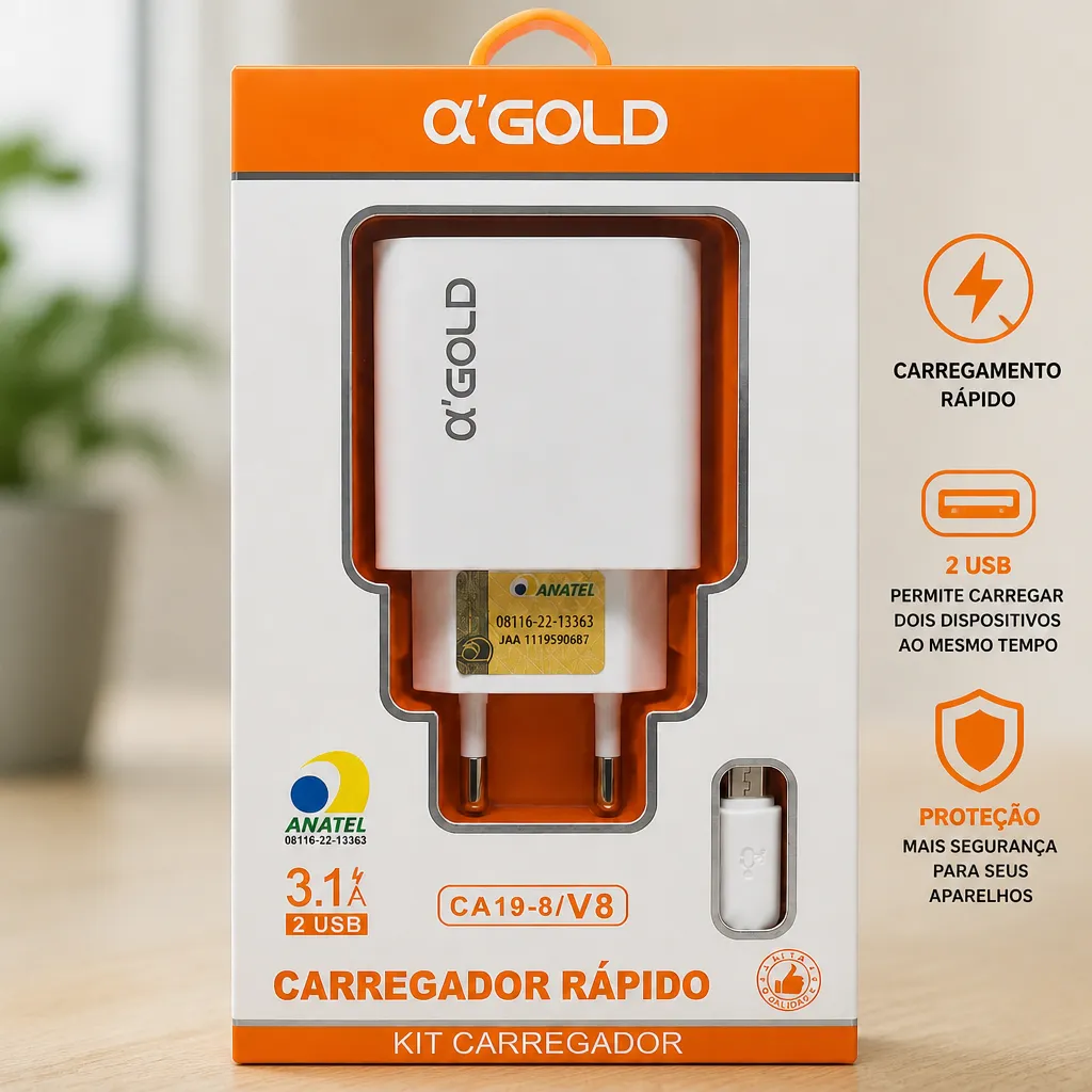 αGOLD 3.1A快充充电器，2个USB接口，适用于CA19-8/V8