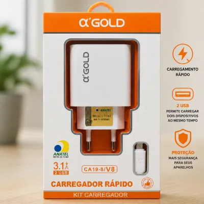αGOLD 3.1A快充充电器，2个USB接口，适用于CA19-8/V8