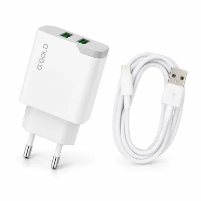 α GOLD 快速充电器 3.1A 双USB CA03-2 iOS