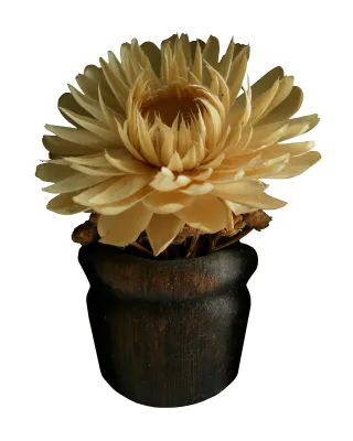 Siempreviva seca en florero de madera