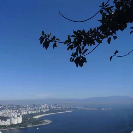A Sam 阿三 （电脑 耗材 热敏纸）