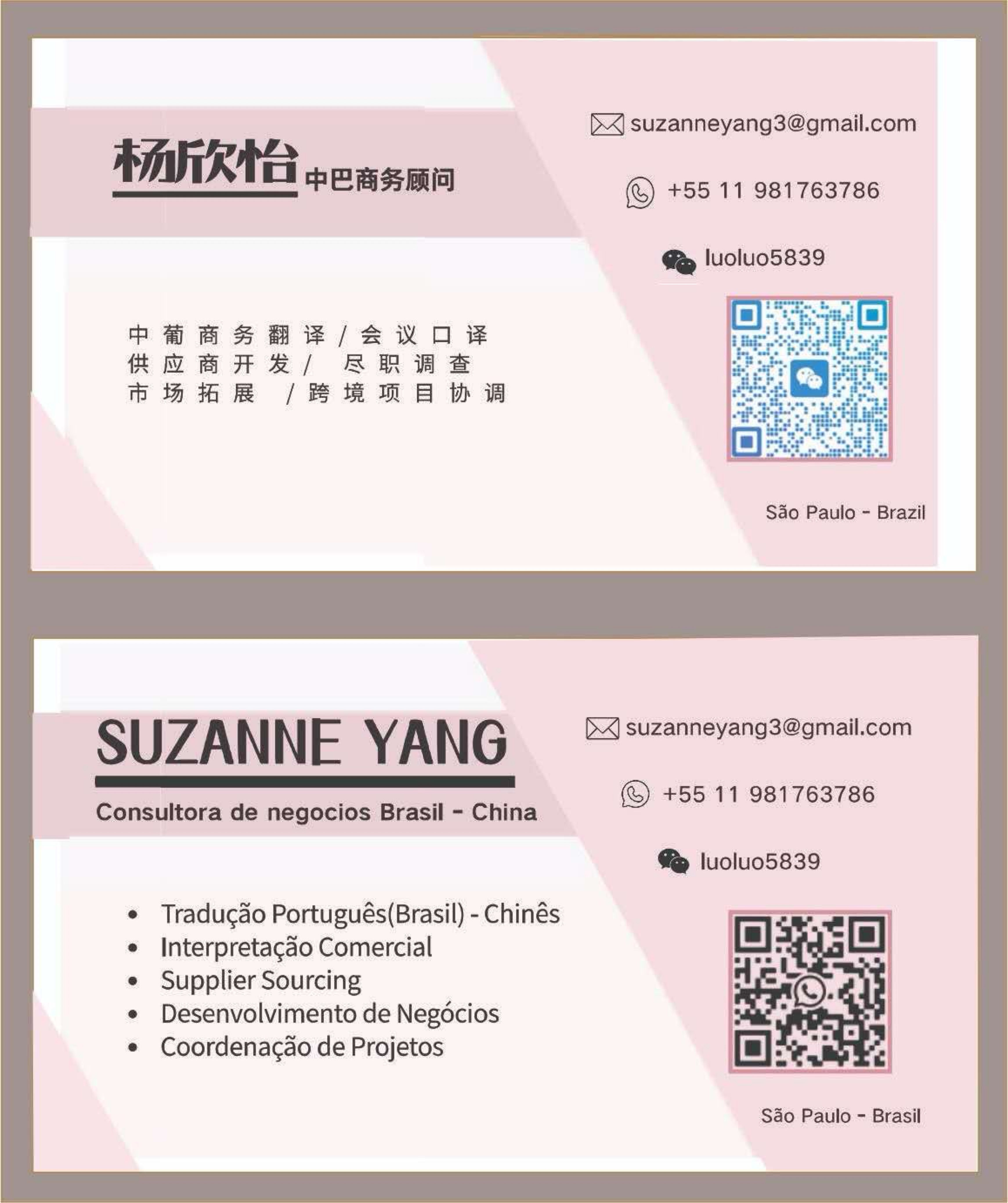 中巴商务服务·商务翻译·陪同考察