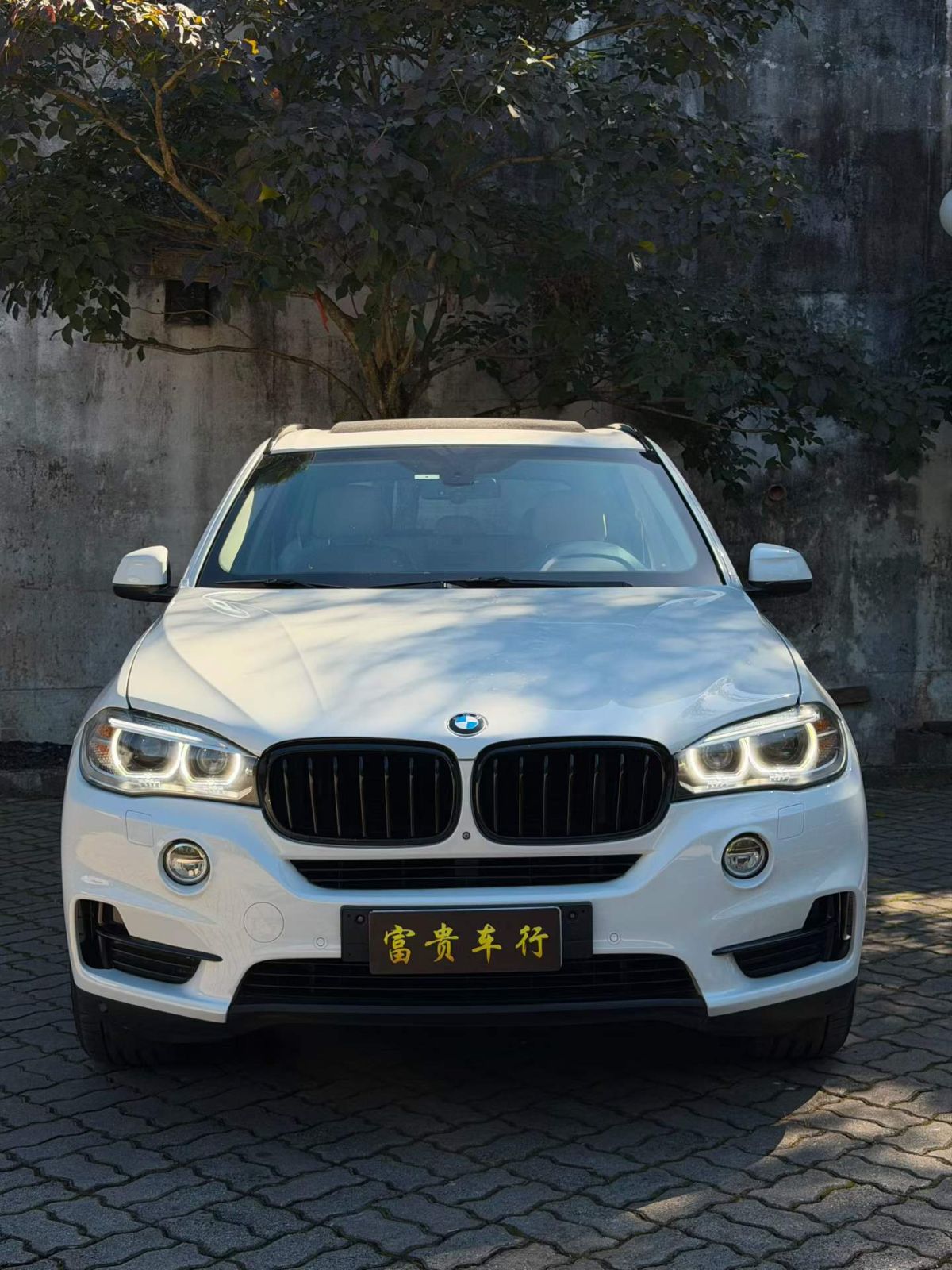 出宝马 X5 2015款