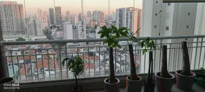 出售belem 三室一厅