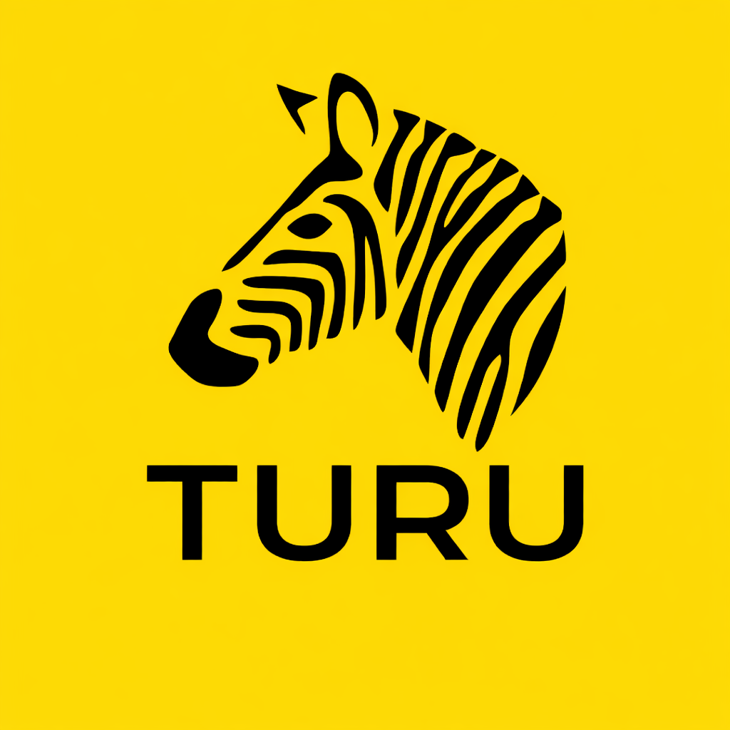 turucases 一天 广告 价位2级