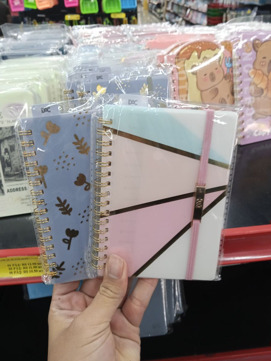 DCC 精美笔记本套装，包含蓝色与粉色设计，适合日常记录