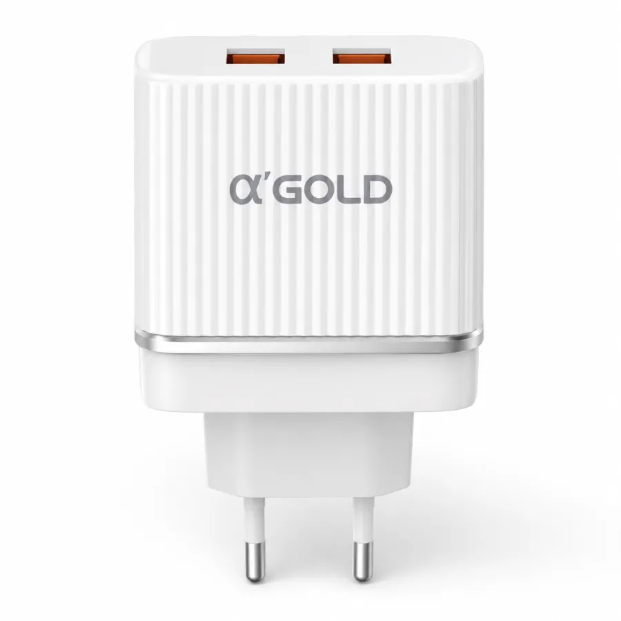 αGOLD 快速充电器 3.1A 双USB 适配器