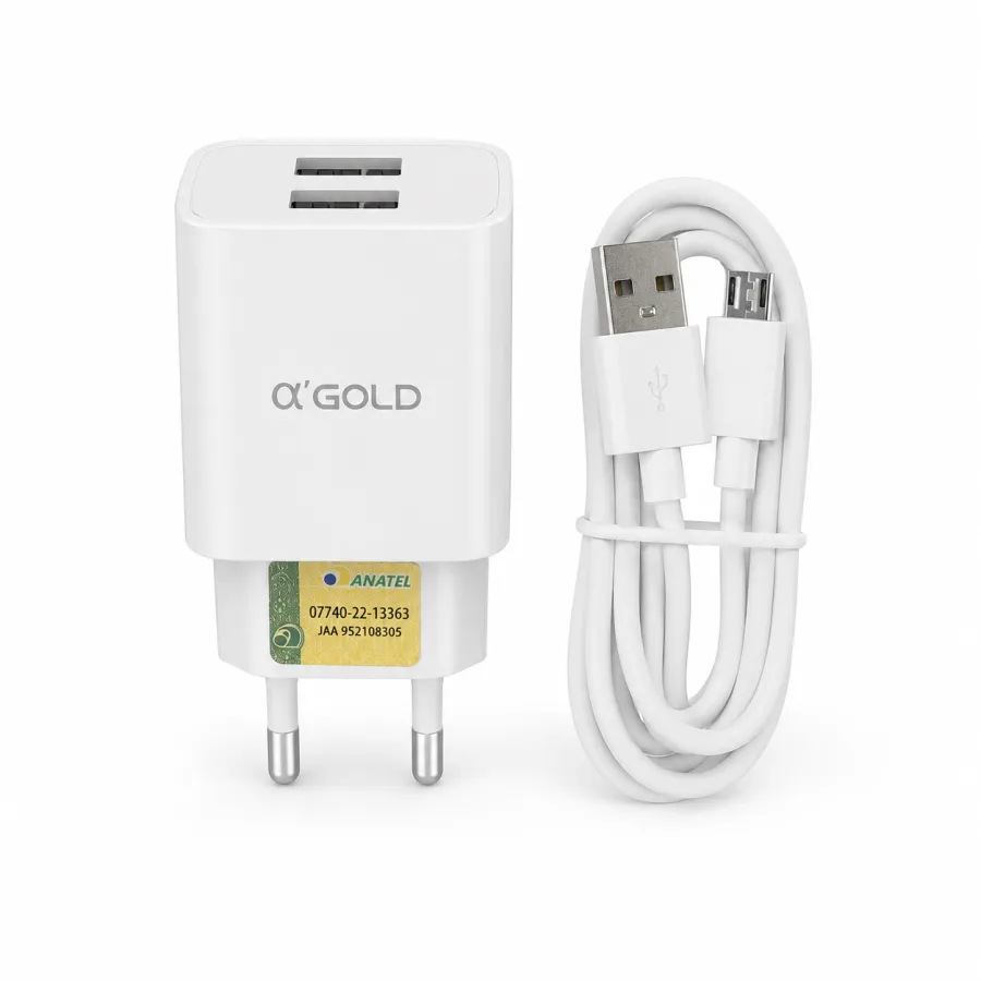 αGOLD 快速充电器套件，2个USB接口，4.1A，适用于多种设备