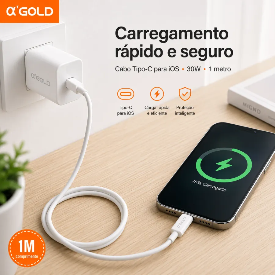 α GOLD Plus 1米30W Tipo-C转Lightning数据线