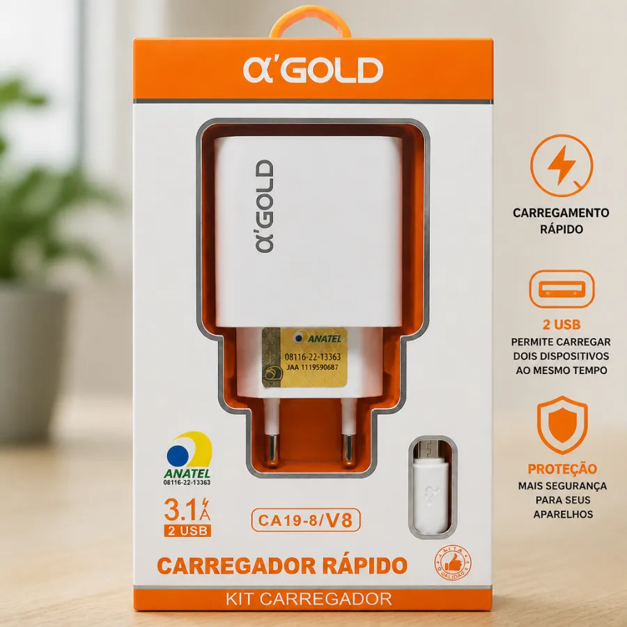 αGOLD 3.1A快充充电器，2个USB接口，适用于CA19-8/V8
