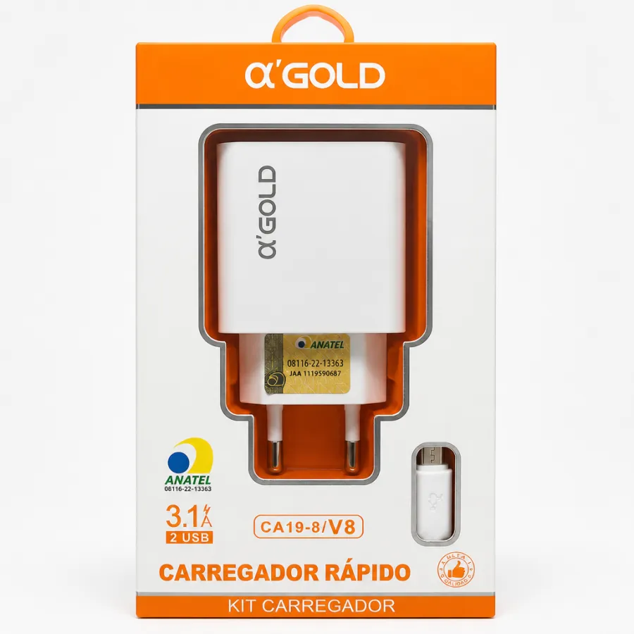αGOLD 3.1A快充充电器，2个USB接口，适用于CA19-8/V8