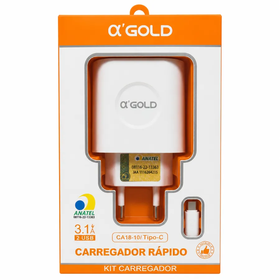 Ca18-10 αGOLD快充充电器，2USB接口，3.1A，Type-C，适用于多种设备