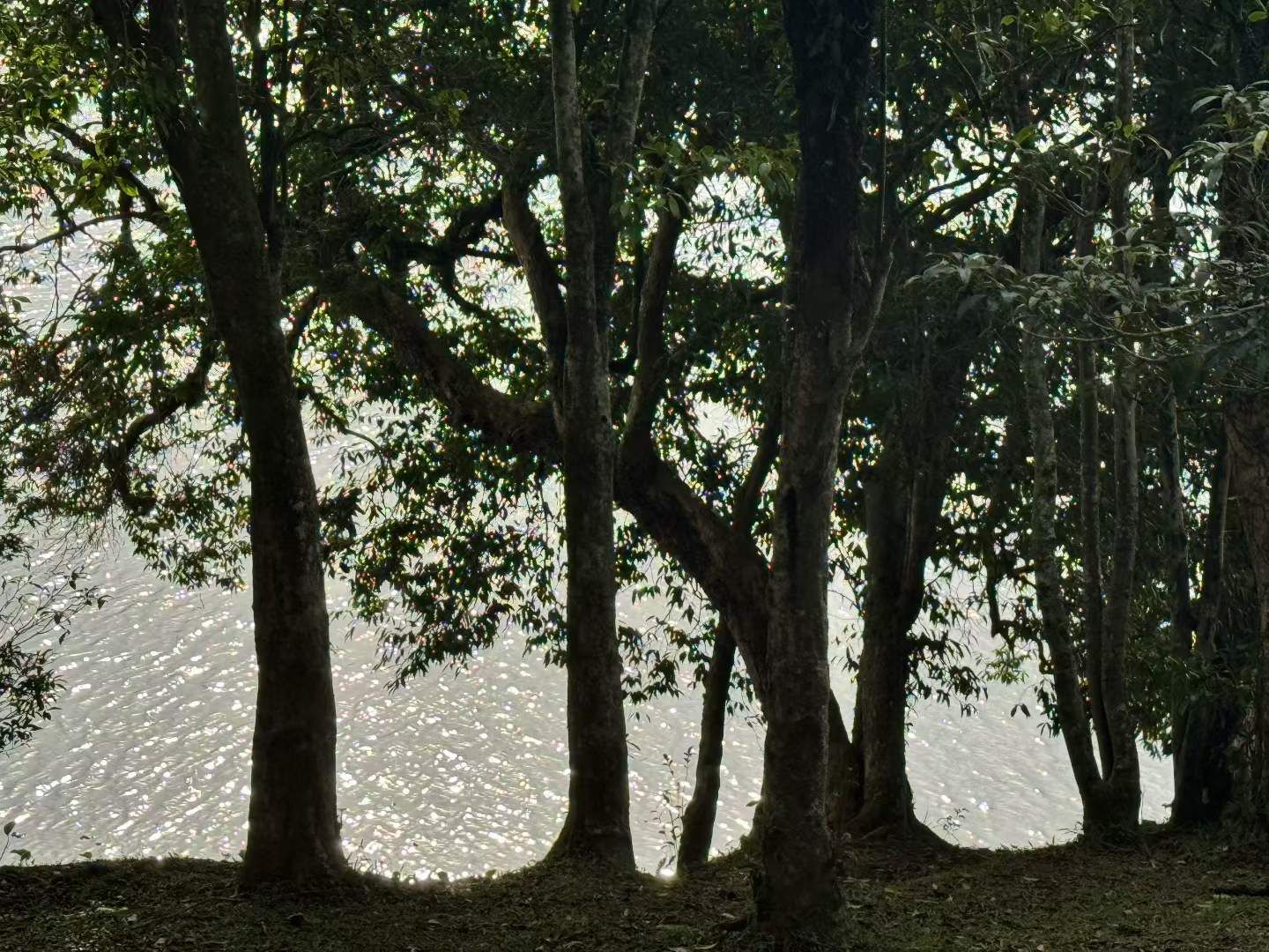 出痘痘印